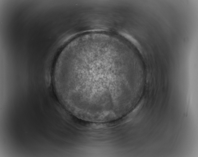 X0000089711407200707121404