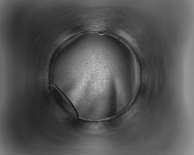 X0000089711410200707121404