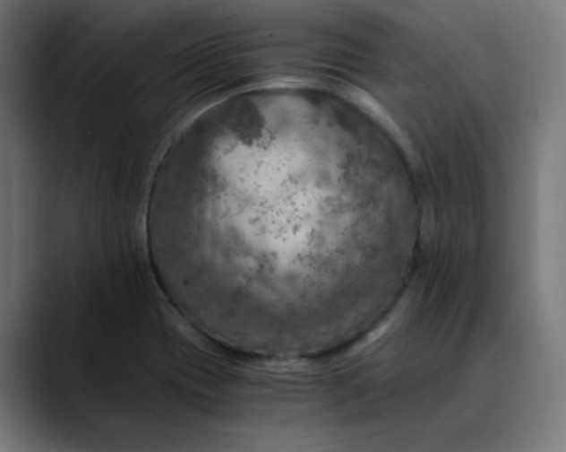 X0000089711417200707121404