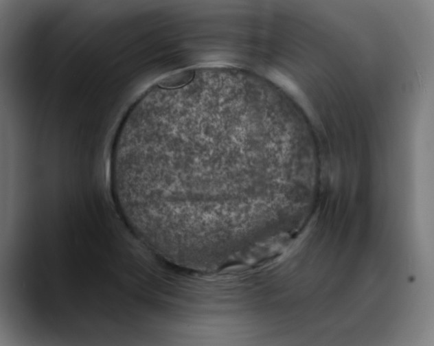 X0000089711419200707121404