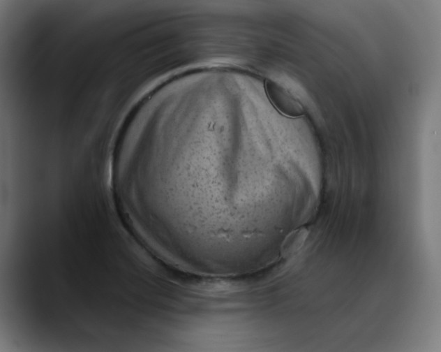 X0000089711420200707121404