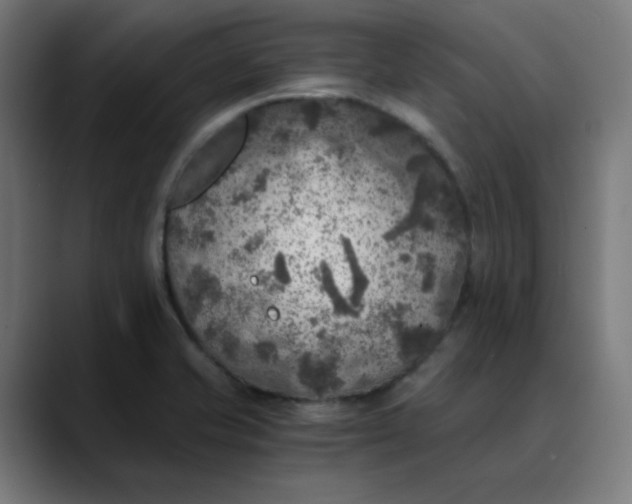 X0000089711421200707121404