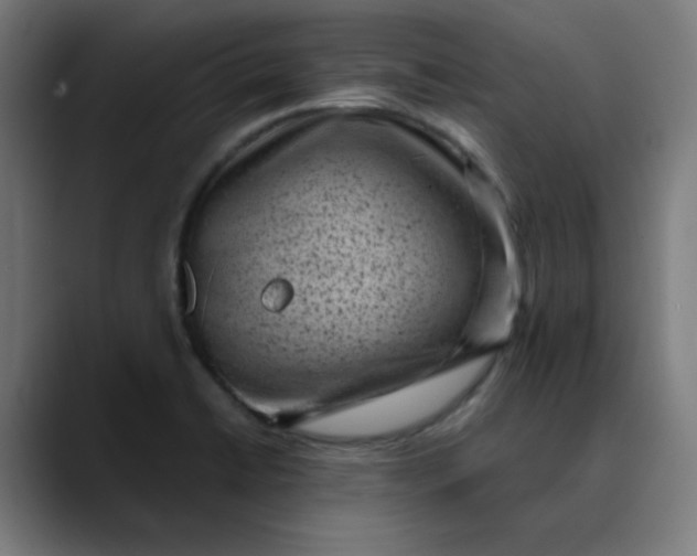 X0000089711422200707121404