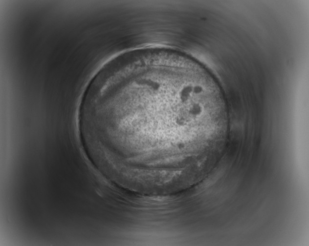 X0000089711423200707121404