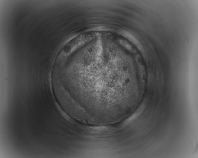 X0000089711425200707121404