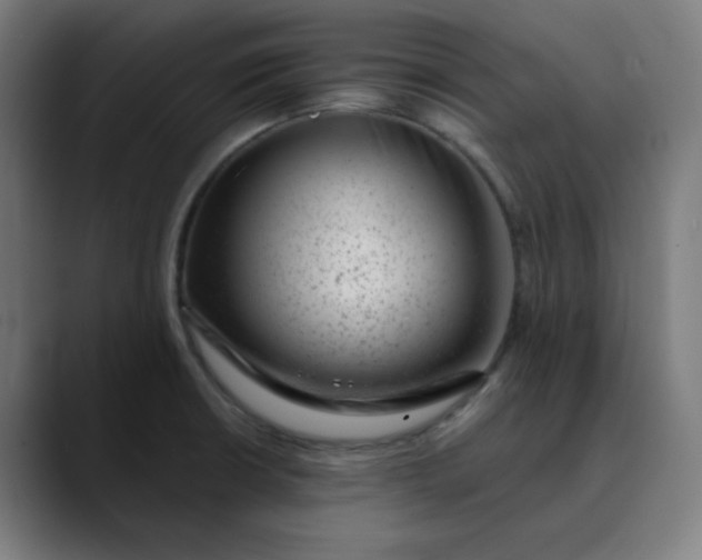 X0000089711426200707121404