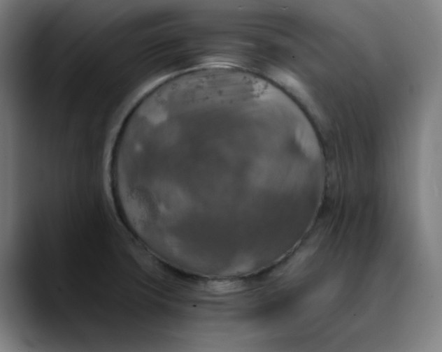 X0000089711427200707121404