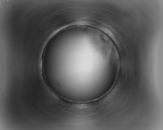 X0000089711428200707121404