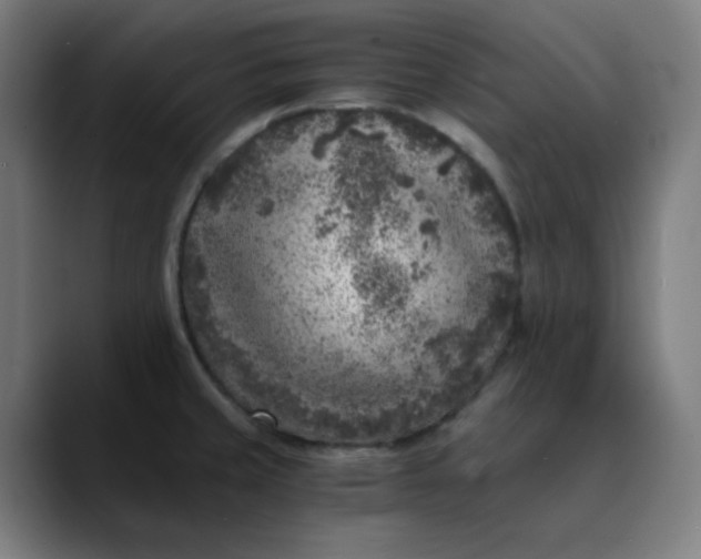 X0000089711429200707121404