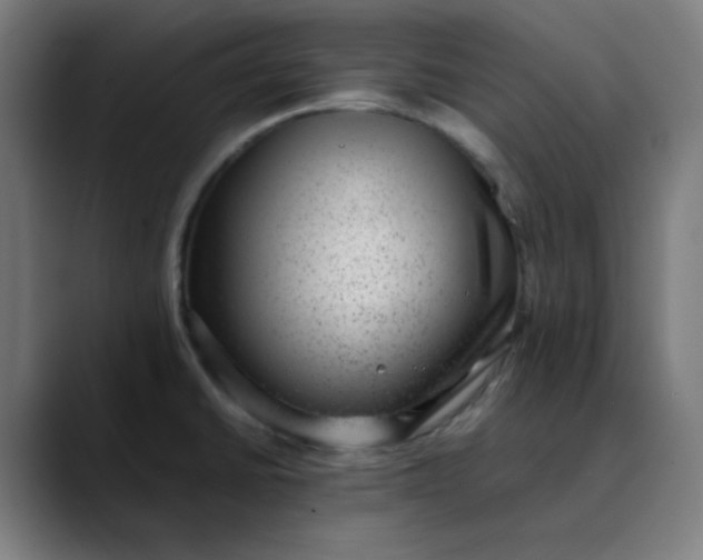 X0000089711430200707121404