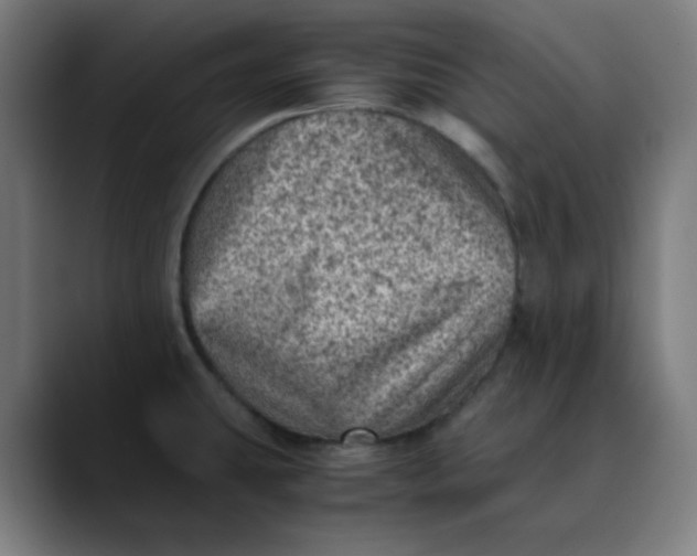 X0000089711431200707121404