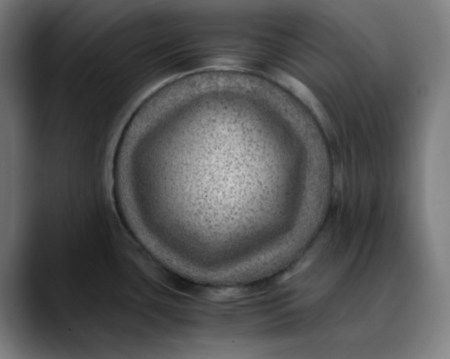 X0000089711435200707121405