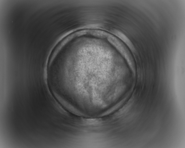 X0000089711436200707121405