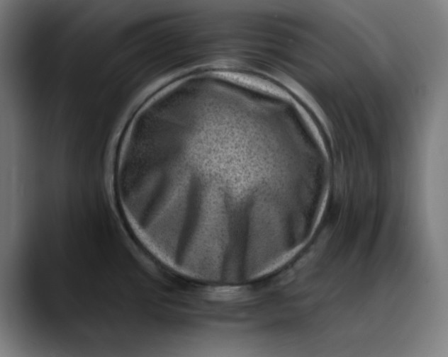 X0000089711437200707121405