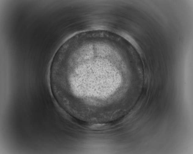 X0000089711439200707121405