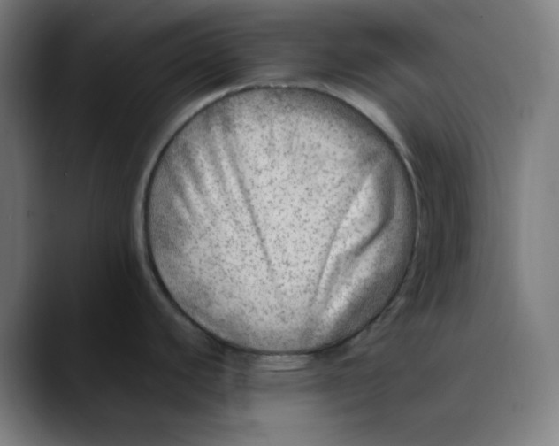 X0000089711440200707121405