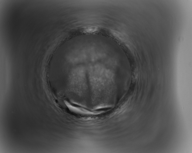 X0000089711441200707121404