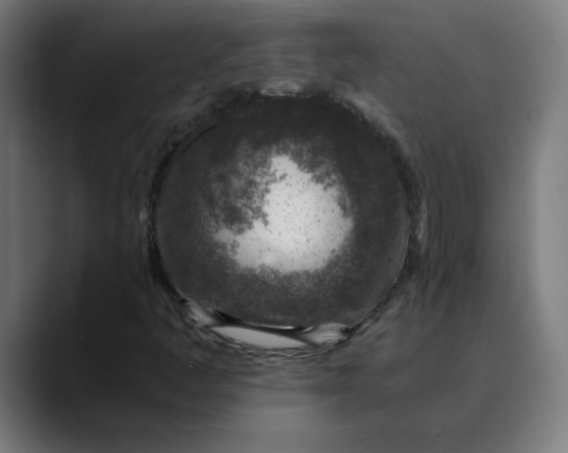 X0000089711445200707121404