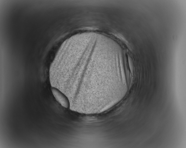 X0000089711448200707121404