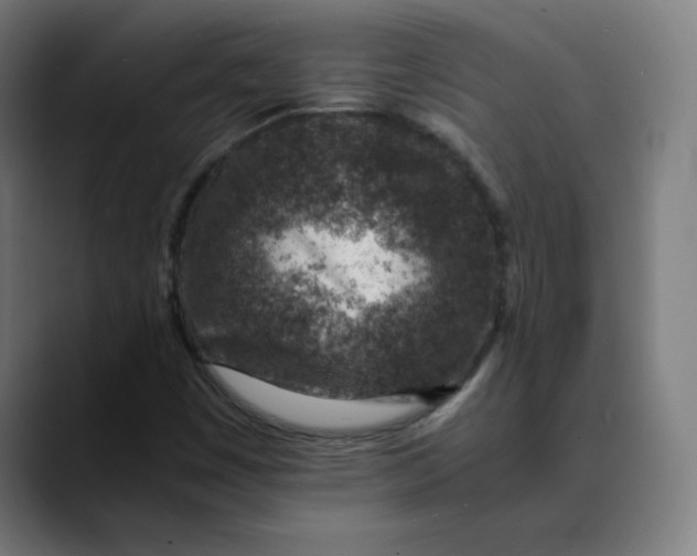 X0000089711449200707121404