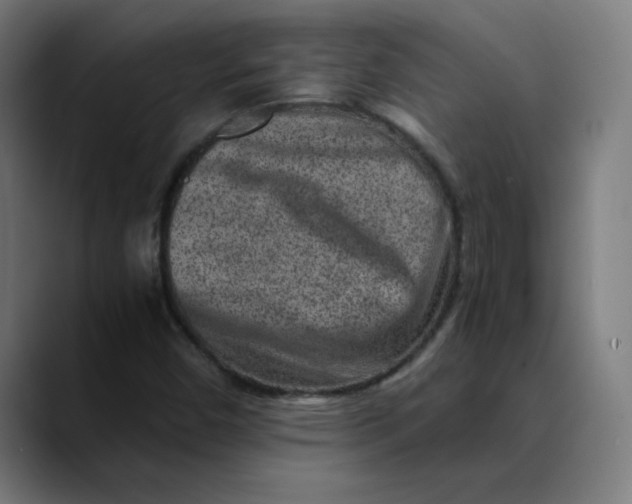 X0000089711450200707121404