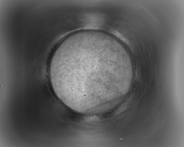 X0000089711454200707121404