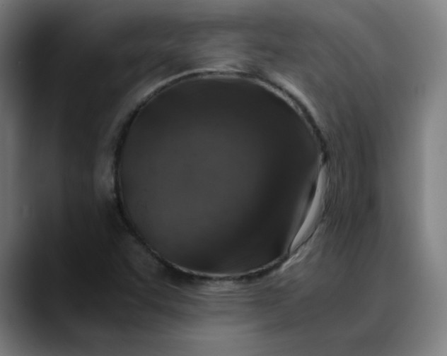 X0000089711455200707121404