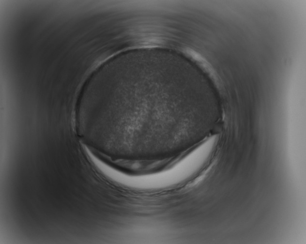 X0000089711457200707121404