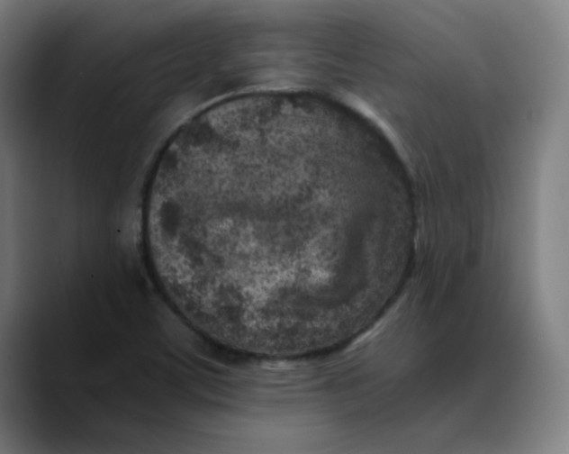 X0000089711459200707121404