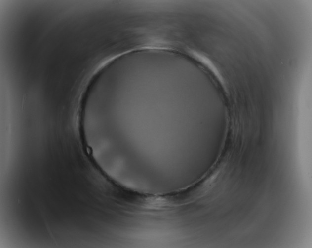 X0000089711463200707121404