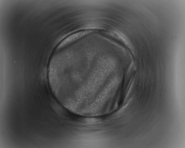 X0000089711465200707121404