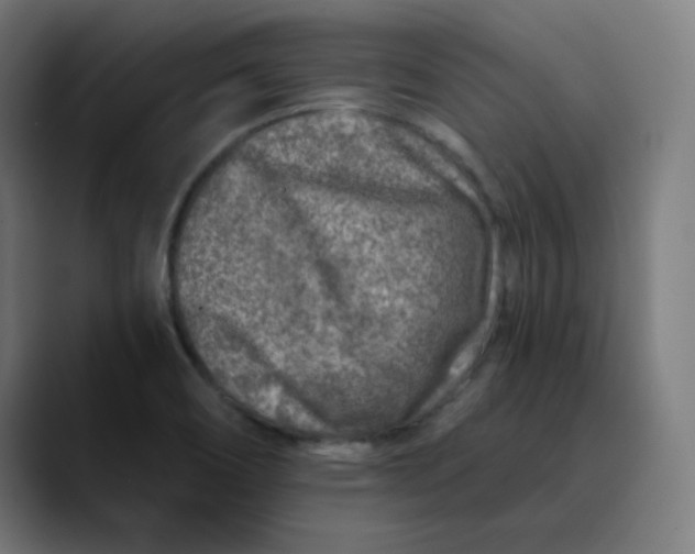 X0000089711466200707121404