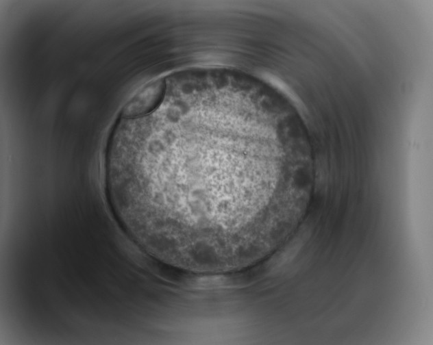 X0000089711467200707121404