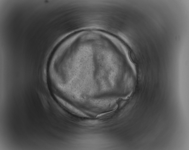 X0000089711468200707121404