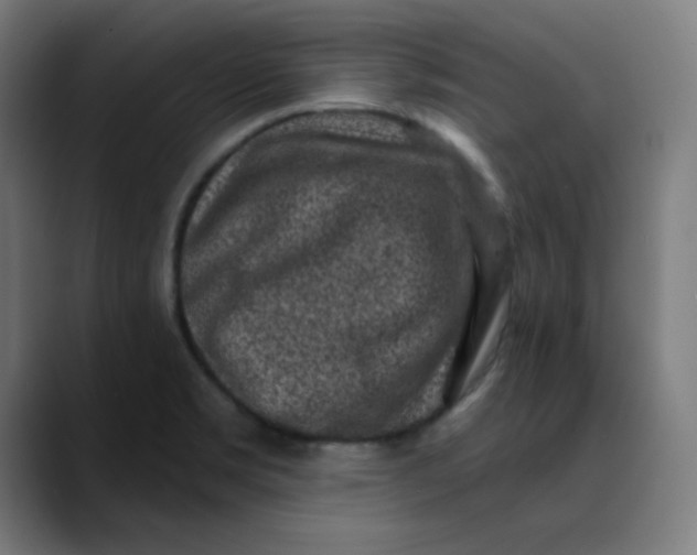 X0000089711469200707121404