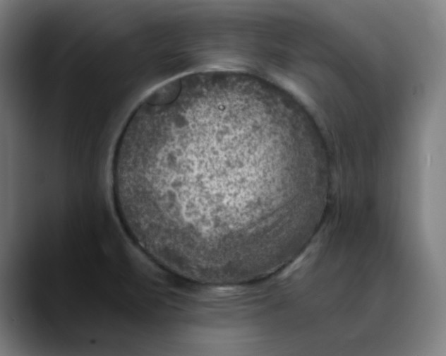 X0000089711471200707121404