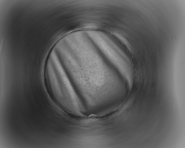 X0000089711475200707121403