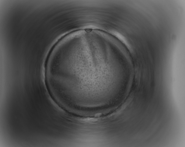 X0000089711476200707121403