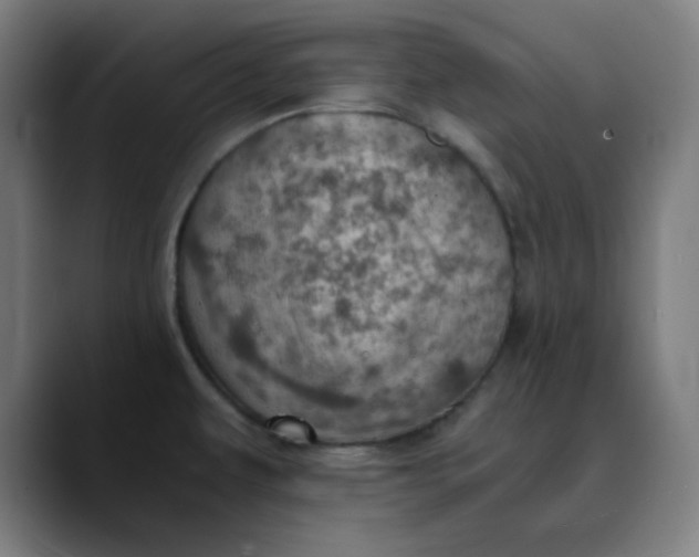 X0000089711479200707121403