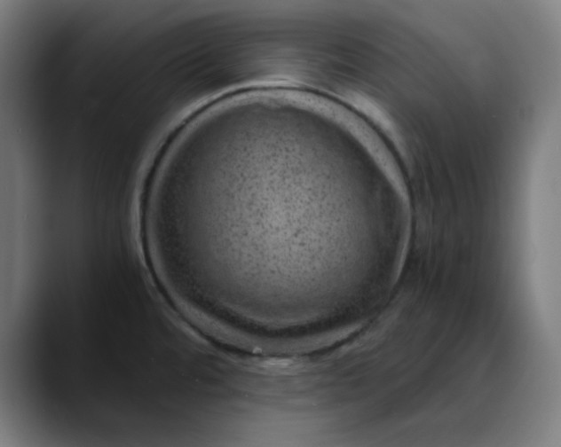 X0000089711480200707121403