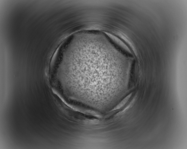 X0000089711481200707121403