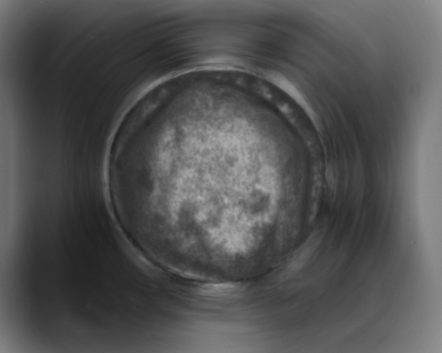 X0000089711482200707121403