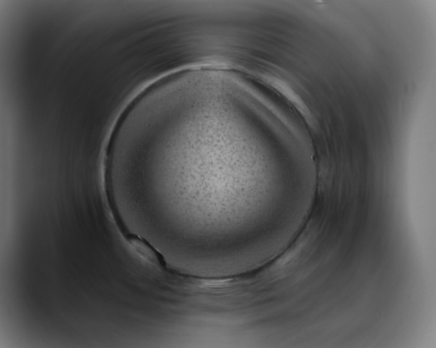 X0000089711484200707121403