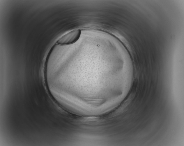 X0000089711486200707121403