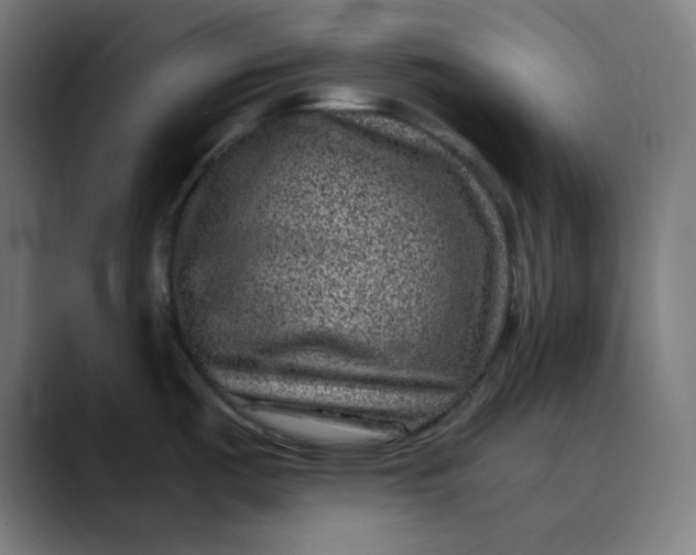 X0000089711487200707121403