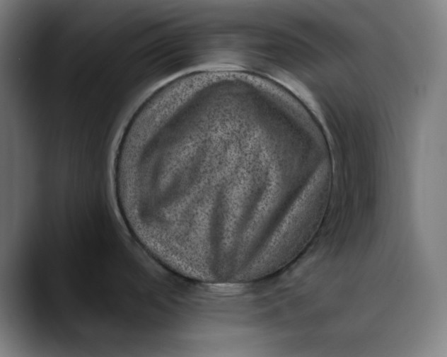 X0000089711488200707121403