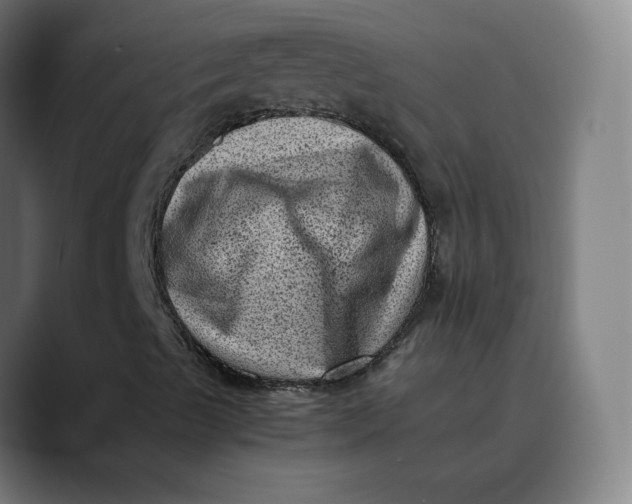 X0000089711489200707121403