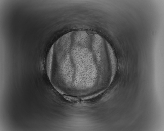 X0000089711490200707121403