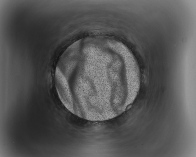 X0000089711493200707121403