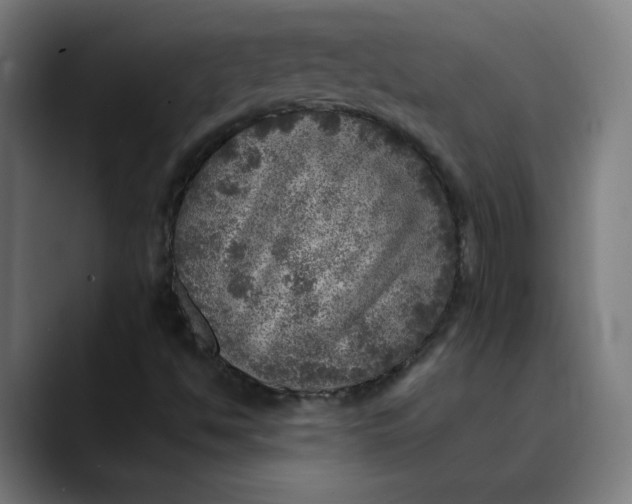 X0000089711494200707121403